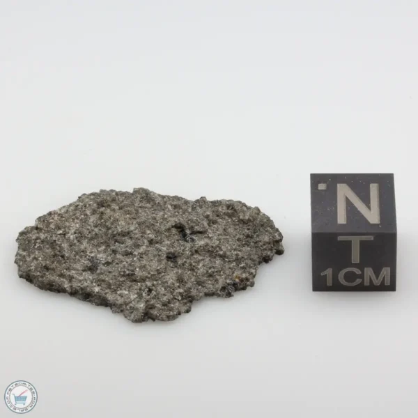 NWA 12262 Martian Meteorite 3.66g End Cut