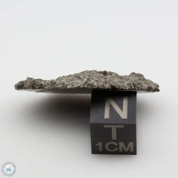 NWA 12262 Martian Meteorite 3.66g End Cut