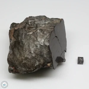 NWA 13758 Meteorite 1638g Windowed Stone