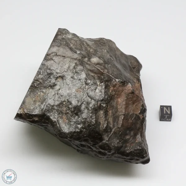 NWA 13758 Meteorite 1638g Windowed Stone