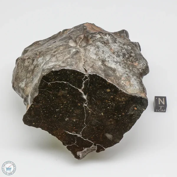 NWA 13758 Meteorite 1638g Windowed Stone