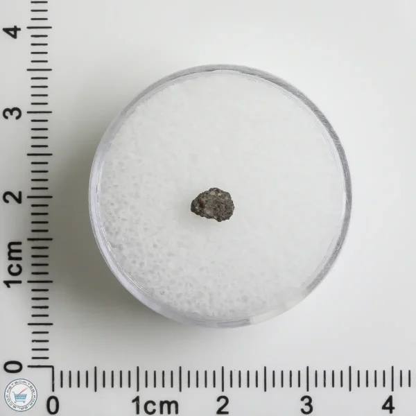 Hassi Messaoud 001 Martian Nakhlite 0.06g