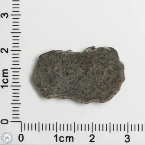 Amgala 001 Martian Meteorite 1.61g