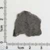 Amgala 001 Martian Meteorite 1.52g