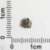 NWA 16127 Martian Meteorite 0.06g Fragment