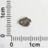 NWA 16127 Martian Meteorite 0.09g Fragment