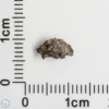 NWA 16127 Martian Meteorite 0.15g