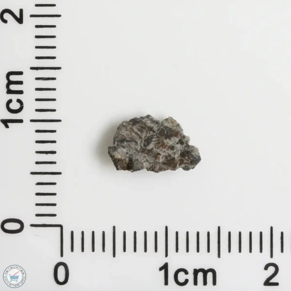 NWA 16127 Martian Meteorite 0.09g Fragment