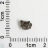 NWA 16127 Martian Meteorite 0.14g Fragment