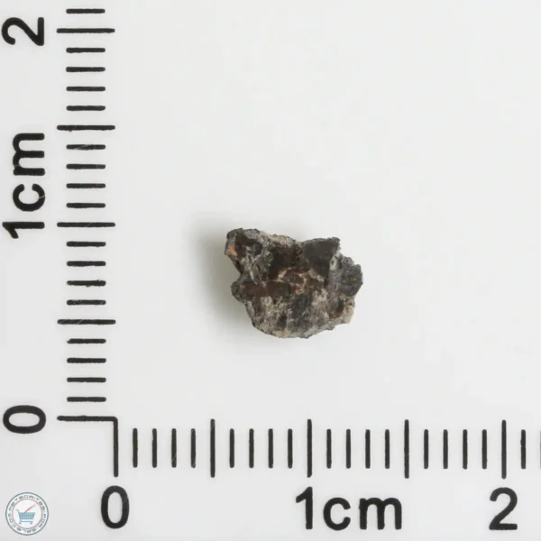 NWA 16127 Martian Meteorite 0.14g Fragment