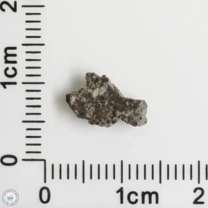 NWA 16127 Martian Meteorite 0.22g Fragment