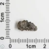 NWA 16127 Martian Meteorite 0.26g Fragment