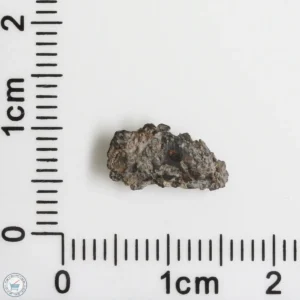 NWA 16127 Martian Meteorite 0.26g Fragment