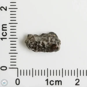 NWA 16127 Martian Meteorite 0.42g Fragment