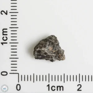 NWA 16127 Martian Meteorite 0.49g Fragment