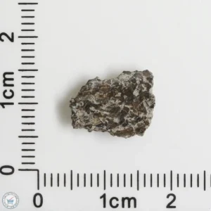 NWA 16127 Martian Meteorite 0.59g Fragment