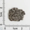 NWA 16127 Martian Meteorite 1.46g