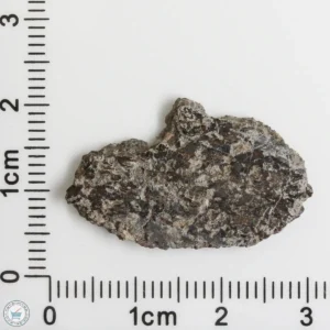 NWA 16127 Martian Meteorite 2.10g