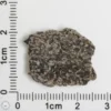 NWA 16127 Martian Meteorite 1.94g