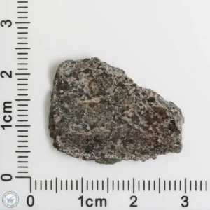 NWA 16127 Martian Meteorite 2.32g