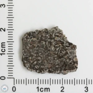 NWA 16127 Martian Meteorite 2.07g