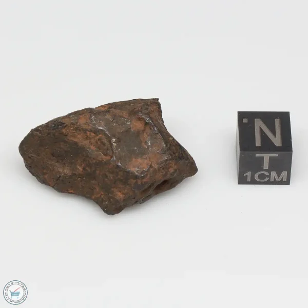 Canyon Diablo Meteorite 31.3g