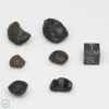 Australite Tektite Assortment 10g