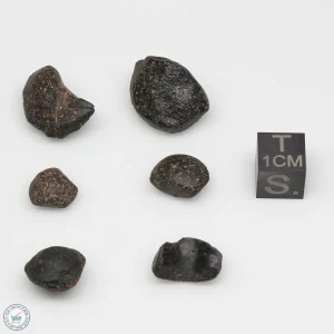 Australite Tektite Assortment 10g