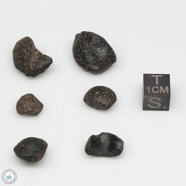 Australite Tektite Assortment 10g