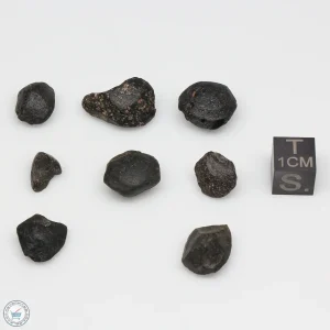 Australite Tektite Assortment 10g