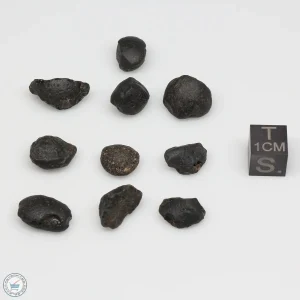 Australite Tektite Assortment 10g