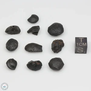 Australite Tektite Assortment 10g