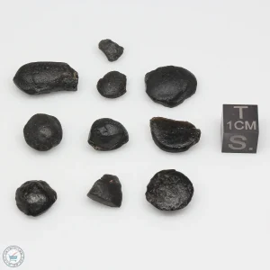 Australite Tektite Assortment 10g