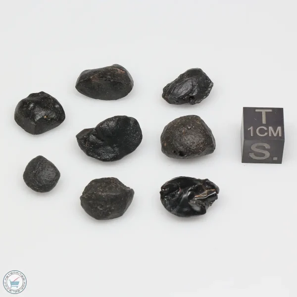 Australite Tektite Assortment 10g