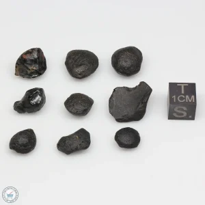 Australite Tektite Assortment 10g