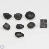 Australite Tektite Assortment 10g