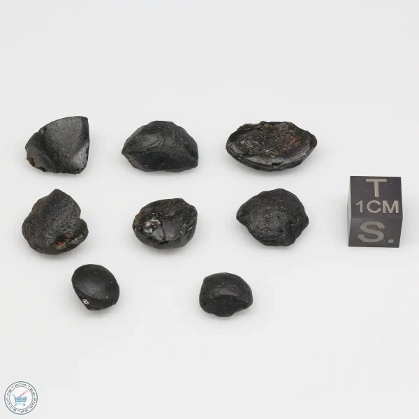 Australite Tektite Assortment 10g