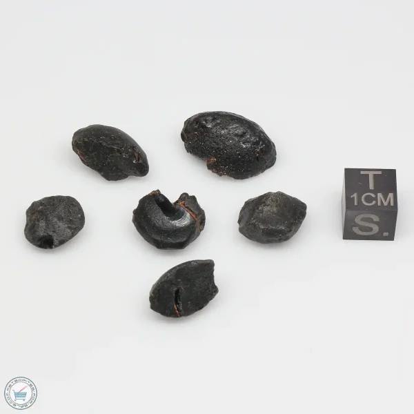 Australite Tektite Assortment 10g