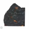 Sericho Pallasite Meteorite 25.0g