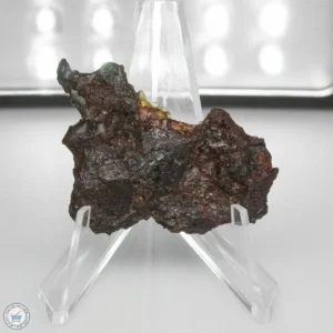 NWA 15428 Pallasite Meteorite 8.1g End Cut