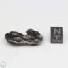 Sikhote-Alin Meteorite 8.6g