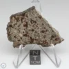 UNWA Meteorite Slice 15.8g