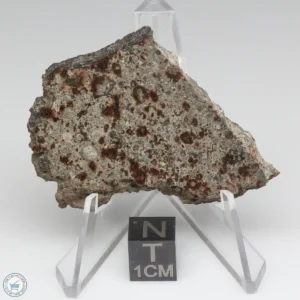 UNWA Meteorite Slice 15.8g