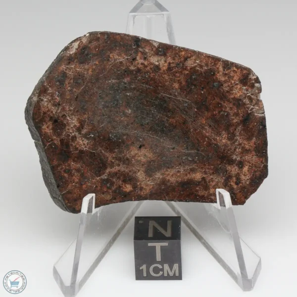 UNWA Meteorite Slice 23.2g