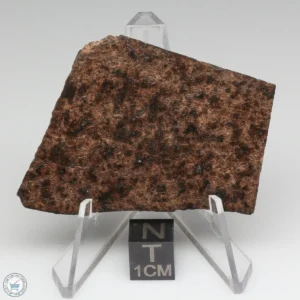 UNWA Meteorite Slice 25.3g