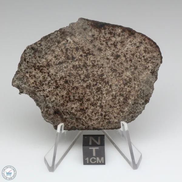 UNWA Meteorite Slice 34.9g