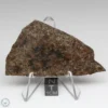 UNWA Meteorite Slice 30.8g