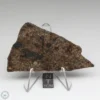 UNWA Meteorite Slice 34.7g