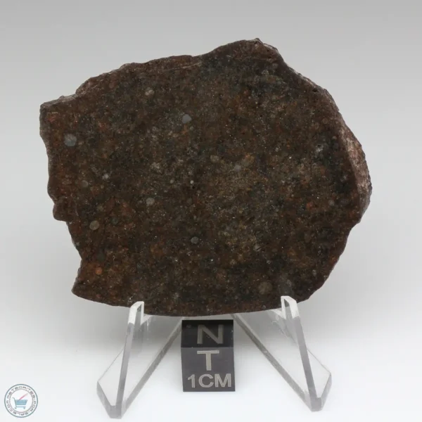 UNWA Meteorite Slice 31.0g