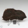 UNWA Meteorite Slice 31.3g